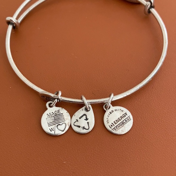 Alex & Ani ΣΔΤ Charm Bangle - Picture 4 of 4